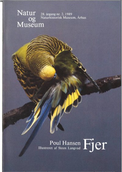 Fjer